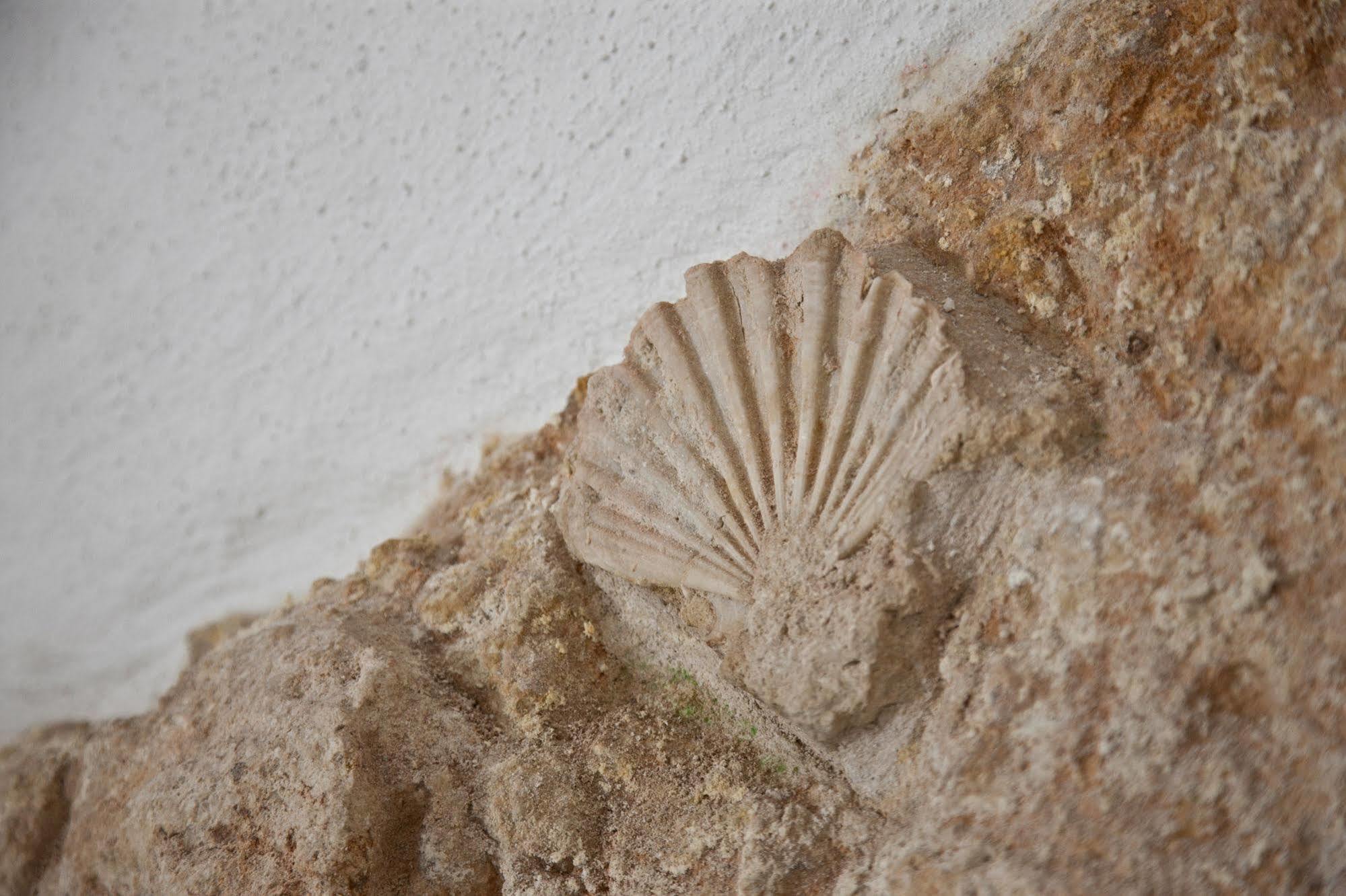 Appartement Grottammare à Polignano a Mare Extérieur photo